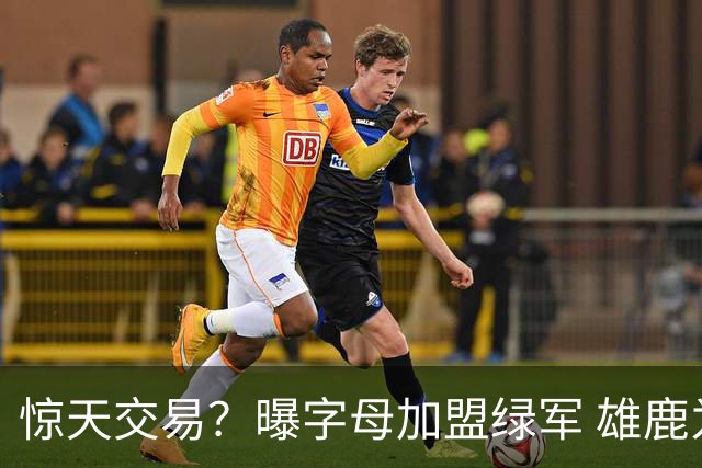 惊天交易？曝字母加盟绿军 雄鹿为布朗寻找第三方